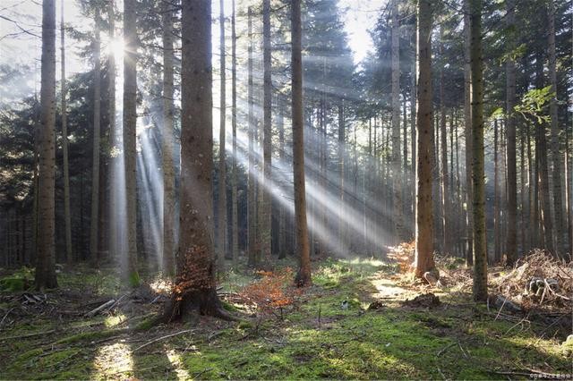 什么是負(fù)折射率？何為負(fù)折射率？