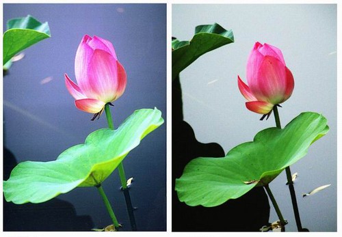 濾光片 攝影知識(shí)普及如何用好濾光鏡