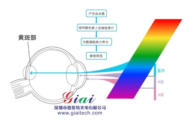 為什么藍(lán)光對(duì)人體健康有危害 為什么藍(lán)光對(duì)人體健康有危害