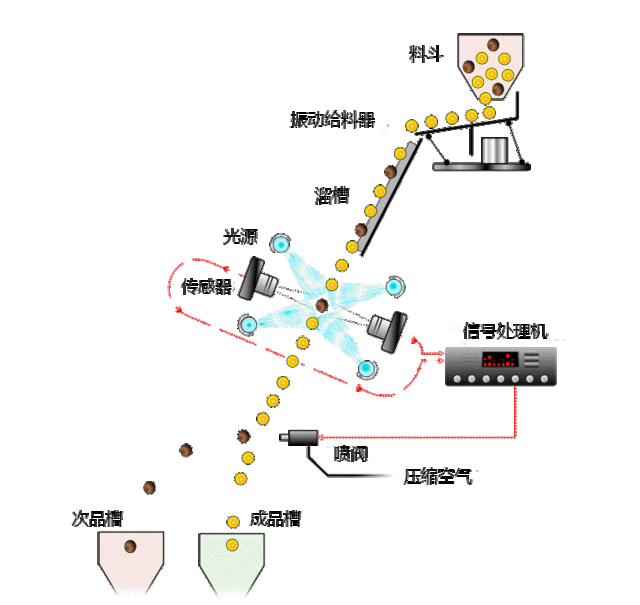 色選機(jī)工作原理動態(tài)圖 色選機(jī)工作原理動態(tài)圖