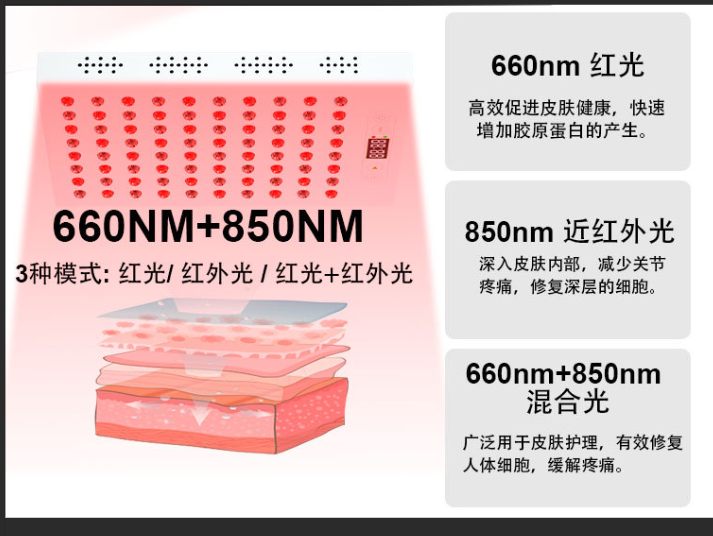 紅光理療儀 紅光理療儀