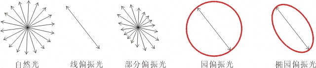 什么是偏振光？偏振光是如何完成檢測的？