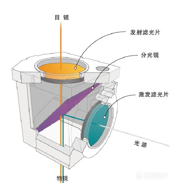 熒光顯微鏡常規(guī)光學元件應用圖 熒光顯微鏡常規(guī)光學元件應用圖