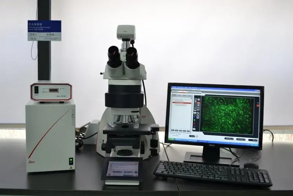 濾光片是如何決定顯微鏡成像性能的？