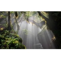 光的干涉、衍射、折射、反射、散射